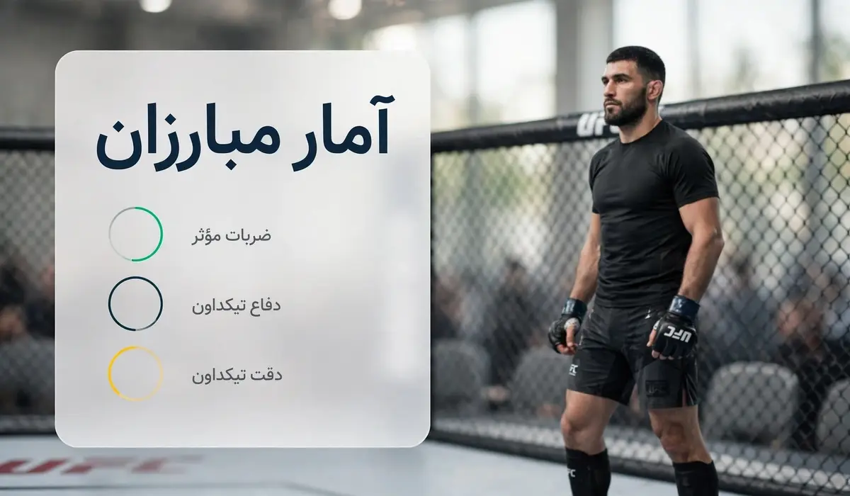 ufc fighter stats minimal
